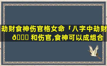 劫财食神伤官格女命「八字中劫财 🐘 和伤官,食神可以成组合 🌴 吗」